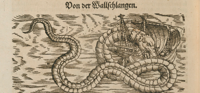 SpezTh Schlangen.png